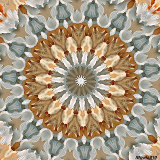 Floral Mandala Design
