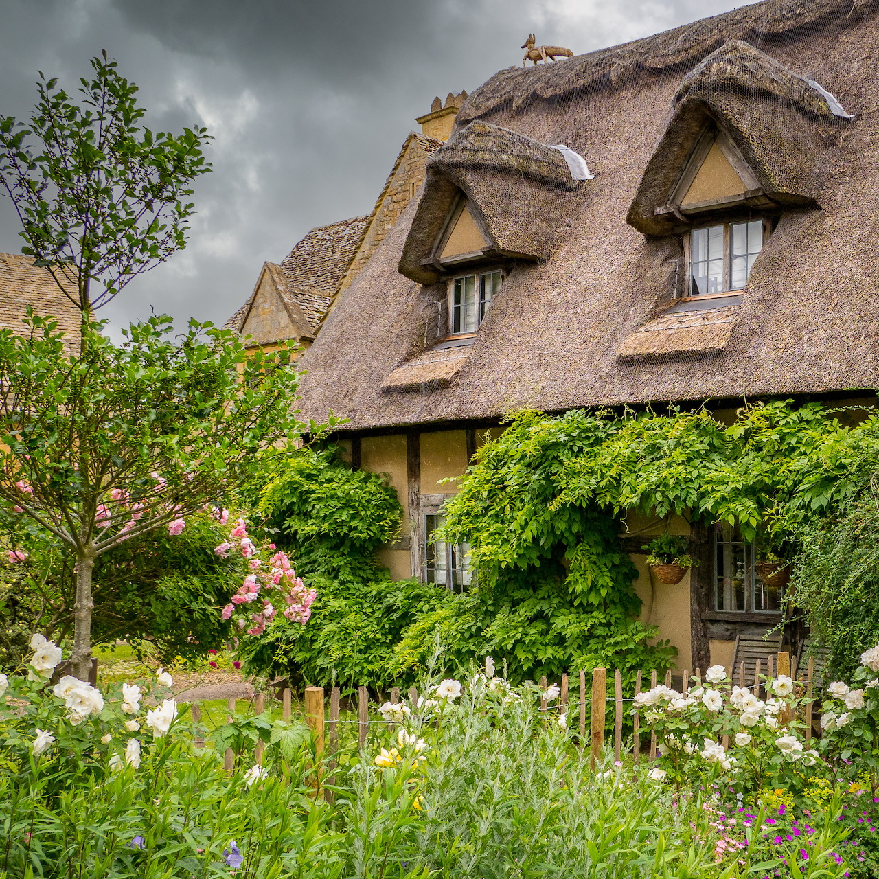 Thatched cottage with climbing vines and flower garden under stormy sky