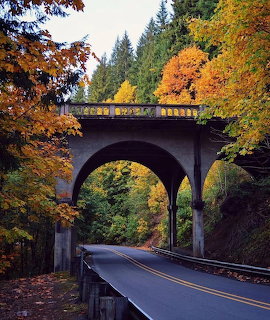 Concrete arch bridge over a curved road surrounded by colorful autumn trees