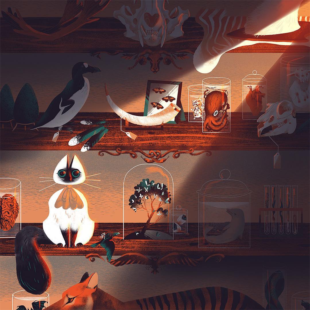 Illustrated cabinet of curiosities with taxidermy birds, animals in jars, and specimens on shelves lit by glowing lamps