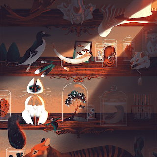 The Collector's Cabinet