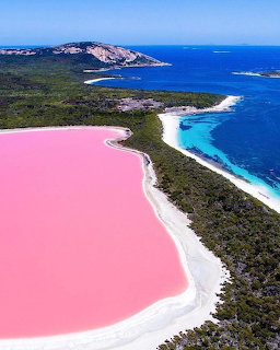 Pink Lake Aerial View