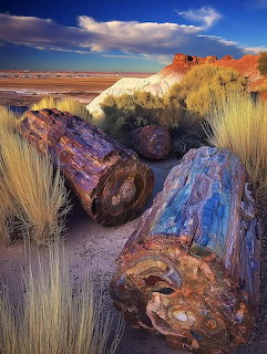 Petrified Forest National Park Arizona