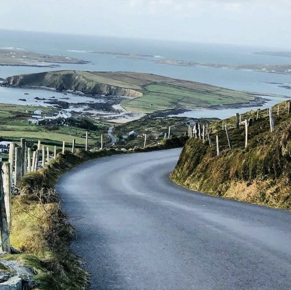 Coastal Road Landscape