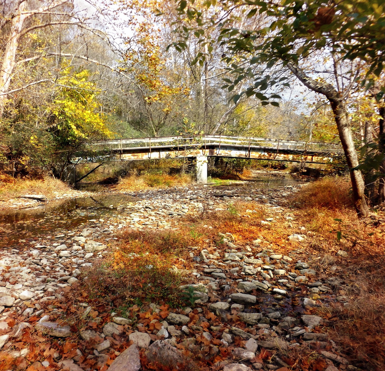 Autumn Creek Bridge