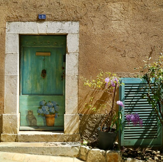 Weathered green door in a rustic wall with potted flowers and green shutters