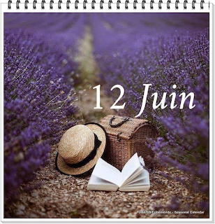 Open book, straw hat and wicker basket resting on dirt path between rows of purple lavender flowers