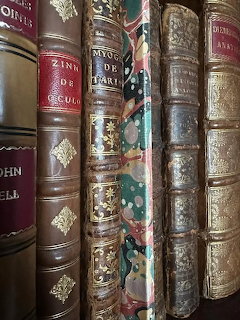 Antique Leather Book Spines