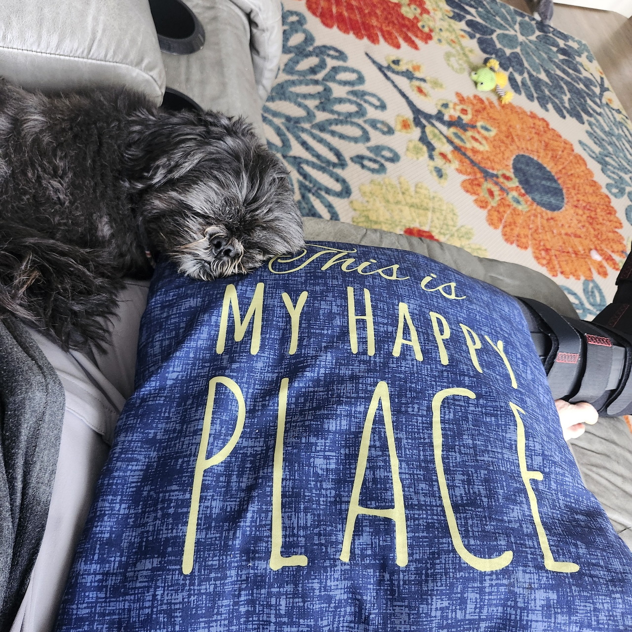 Small black dog lying beside a blue pillow with happy place text on a bed
