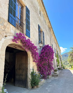 Stone winery building in Mallorca with purple bougainvillea flowers growing over a large wooden door