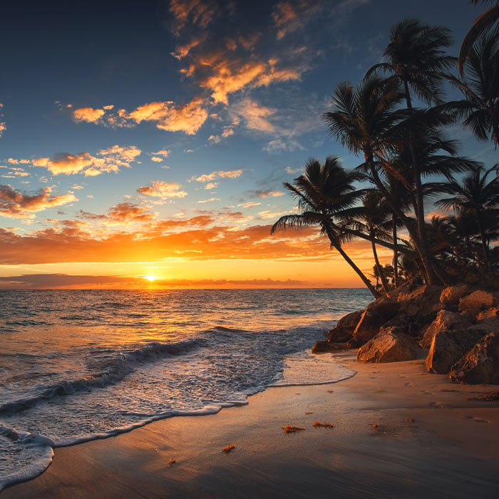 Tropical beach at sunset with palm trees, ocean waves, and colorful sky