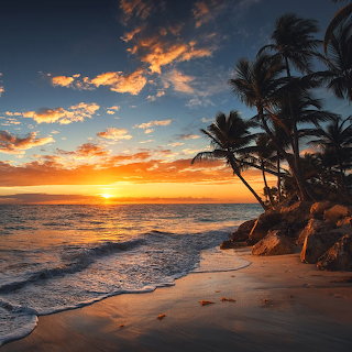 Tropical Beach Sunset