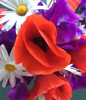 Red Popy and Daisies Bouquet