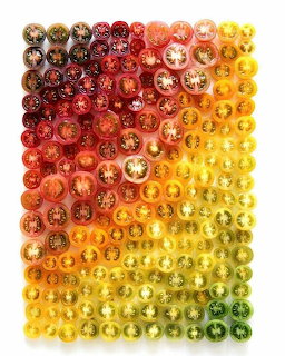 Rainbow Tomato Gradient