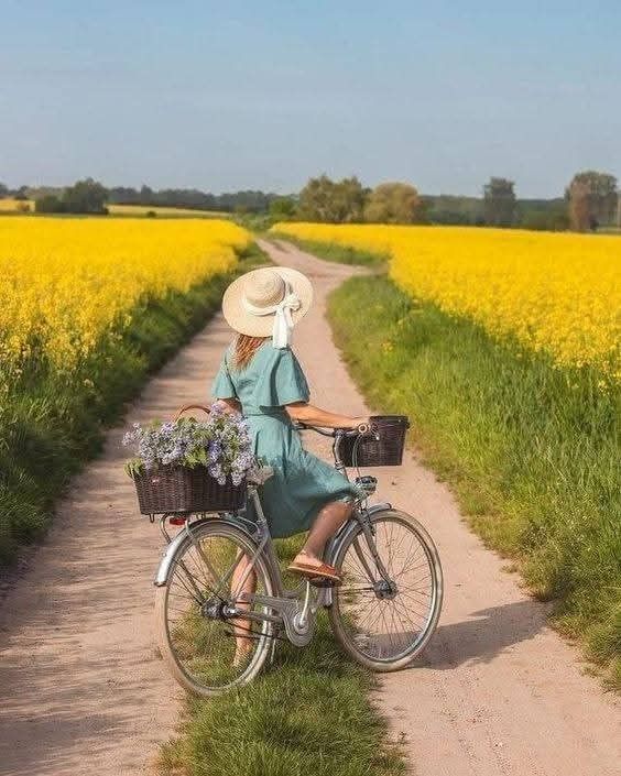 Woman with bicycle on a country path between yellow flowering fields