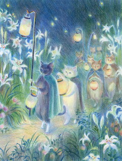 Late Night Through The Lily Field