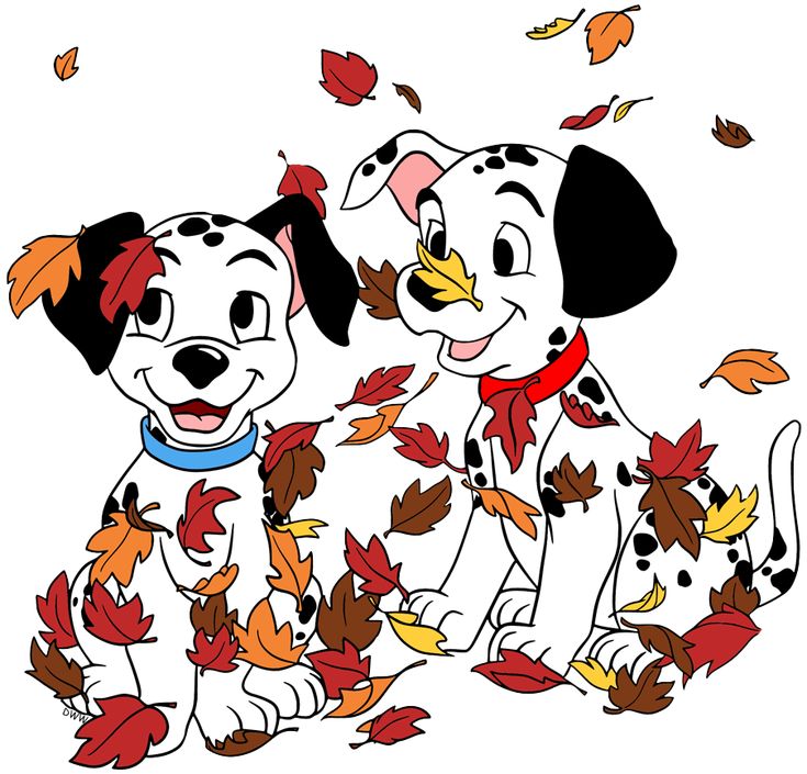 Two dalmatian puppies playing with falling autumn leaves