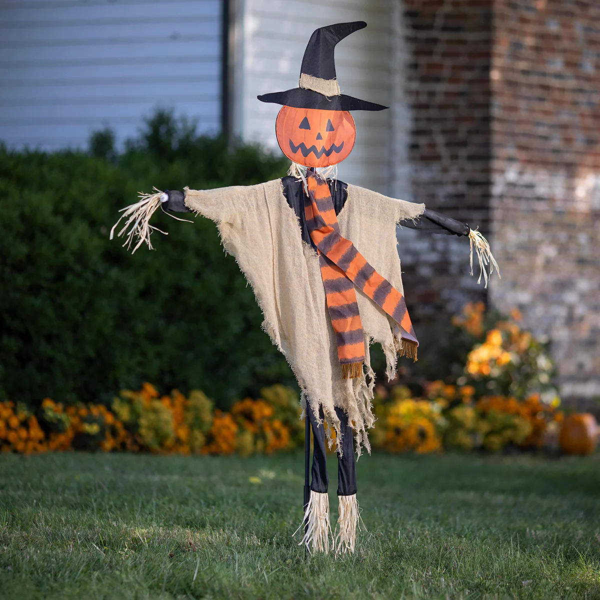 Halloween scarecrow with pumpkin head and witch hat on residential lawn