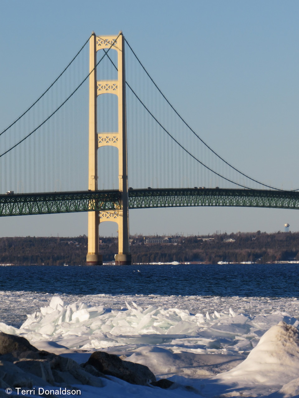 Northern Michigan Scene