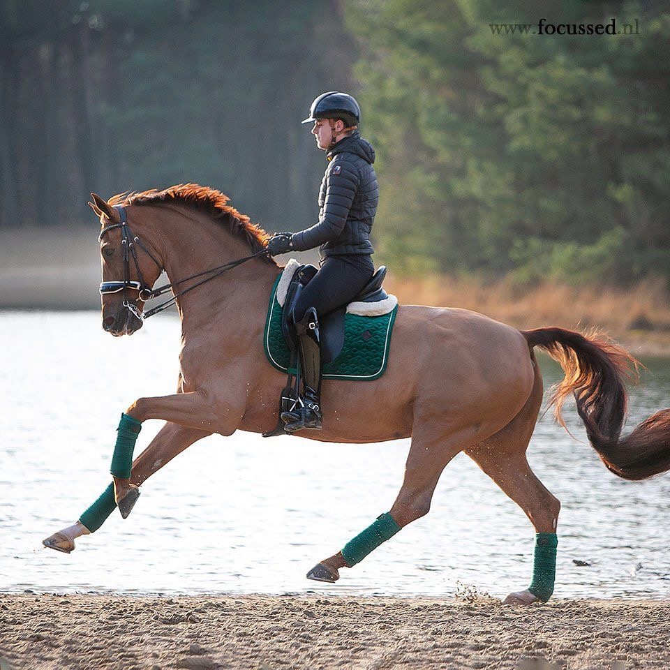 Equestrian rider in black jacket on chestnut horse performing dressage in outdoor arena