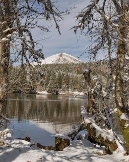 Snow-covered lake with evergreen trees and a snowy mountain peak framed by bare winter branches