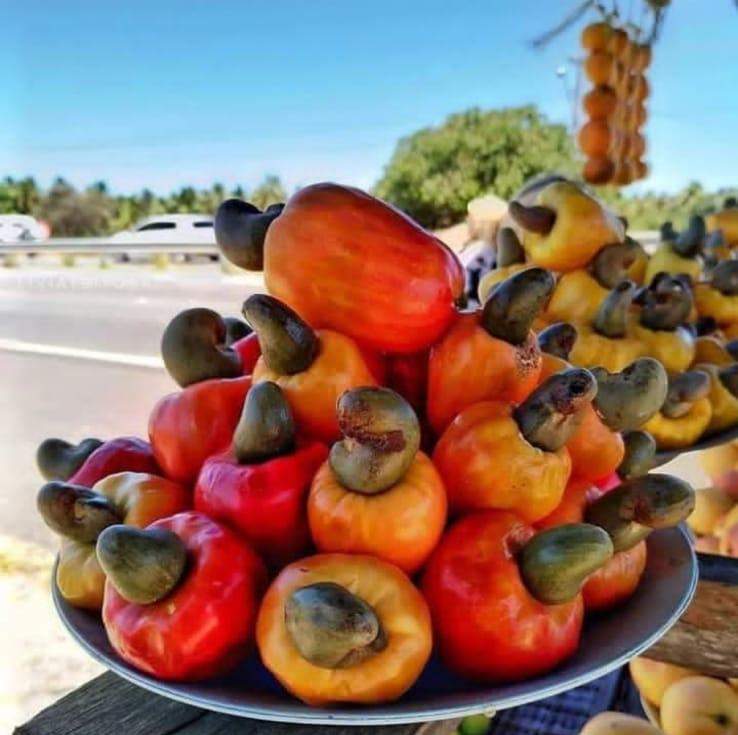 Plate of red, orange and yellow cashew fruits with dark nuts attached, outdoors
