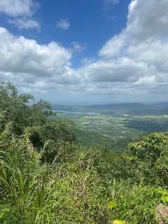 View over a green valley from a hillside with tropical plants and a cloudy blue sky