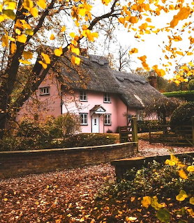 Pink thatched cottage with autumn foliage and yellow flowers in foreground