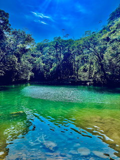 Clear turquoise lagoon surrounded by dense tropical forest with sunlight streaming through trees