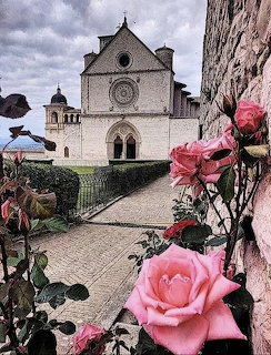Stone basilica church framed by pink roses along a cobblestone path under cloudy sky