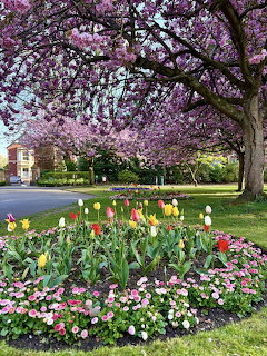 Spring Garden Blossoms