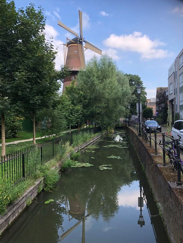 Traditional Dutch windmill beside a calm canal lined with trees and a town street