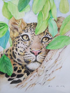 Watercolor painting of leopard face with blue eyes among green leaves