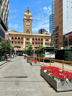Flinders Street Station clock tower in Melbourne with a green tram and red flower planters in the foreground