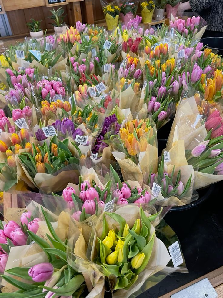 Many wrapped bouquets of colorful tulips in pink, yellow, orange, and purple at a flower market display