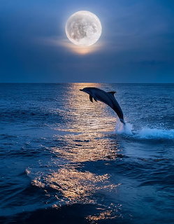 Dolphin jumping out of dark blue ocean water under bright full moon at night