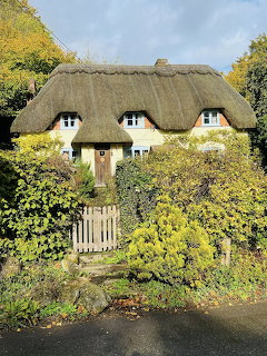White cottage with thick thatched roof surrounded by green garden and trees