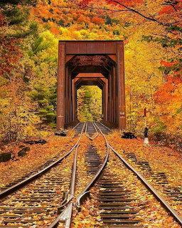 Railroad tracks entering a wooden tunnel bridge framed by colorful autumn trees