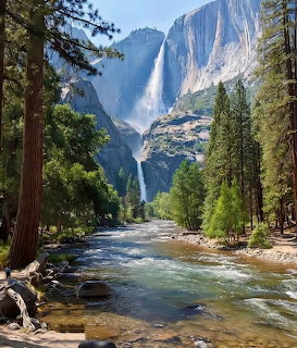 Yosemite Falls waterfall with a river flowing through pine trees in Yosemite Valley