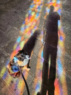 Two long human shadows on tiled pavement with colorful stained glass light reflections and a small dog