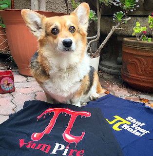 Corgi Pi Day Celebration