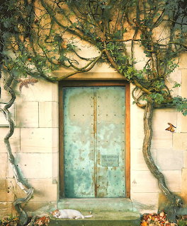 Rustic Door with Vines