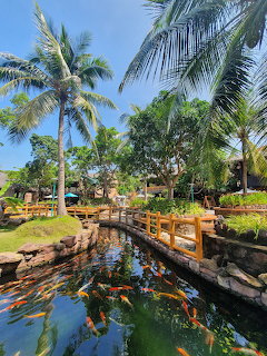 Koi fish swimming in a clear pond surrounded by palm trees and wooden bridges in a tropical garden