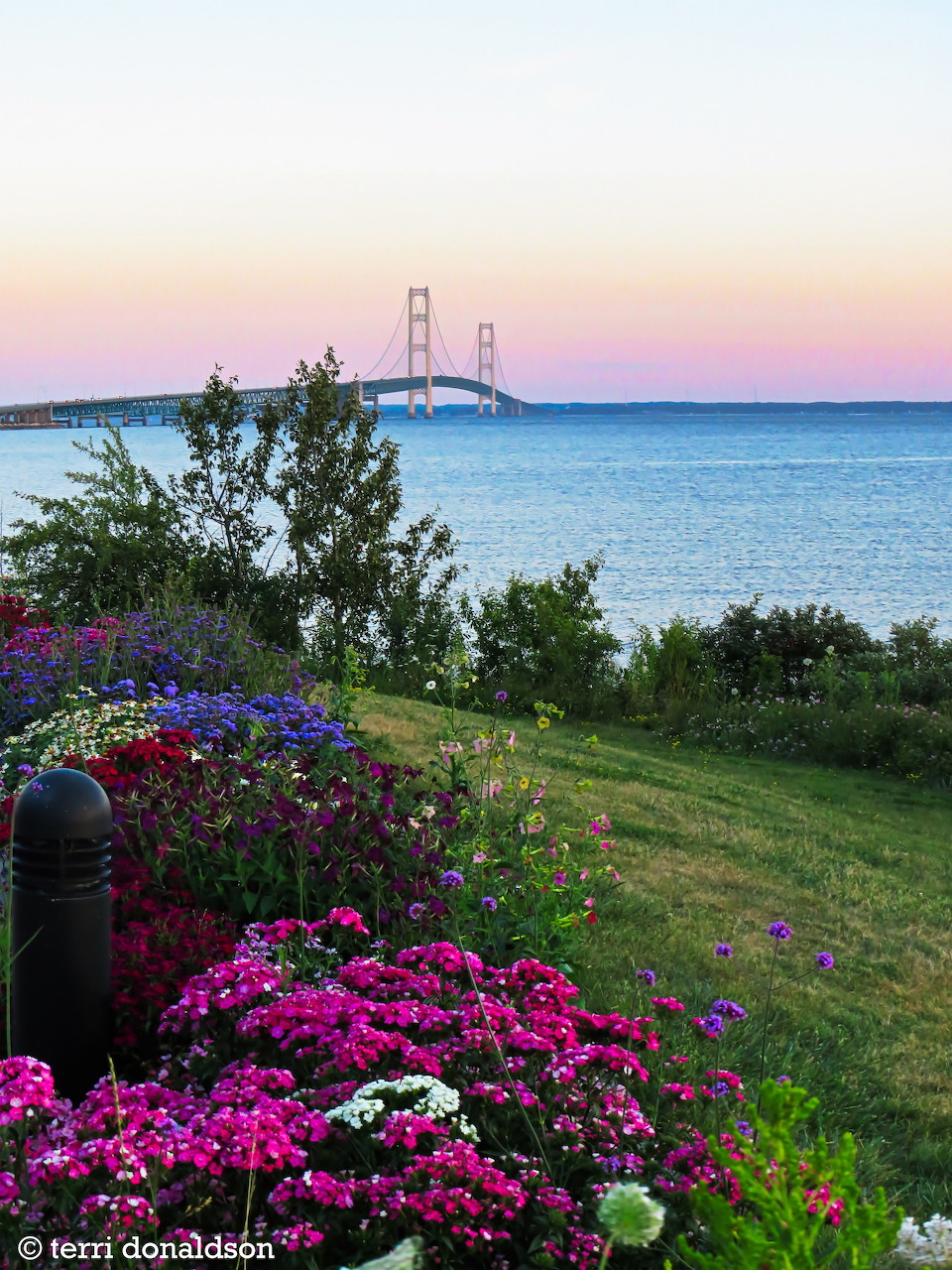 Colorful garden flowers by a lakeshore at sunset with the Mackinac Bridge in the distance