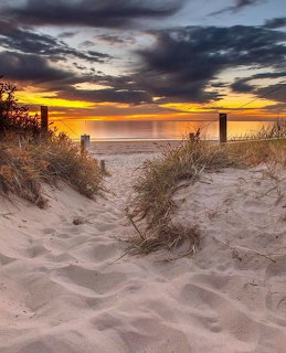 Sandy beach path through dunes with grass at sunset, ocean and dramatic cloudy sky in background