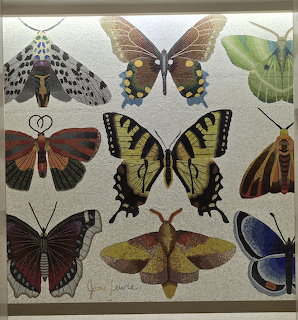 Butterfly Wall Art Collection