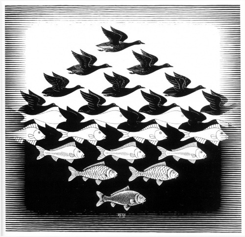 Black and white artwork of birds flying above fish in an Escher-style pattern