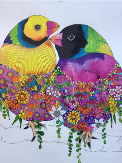 Colorful Gouldian Finches Illustration