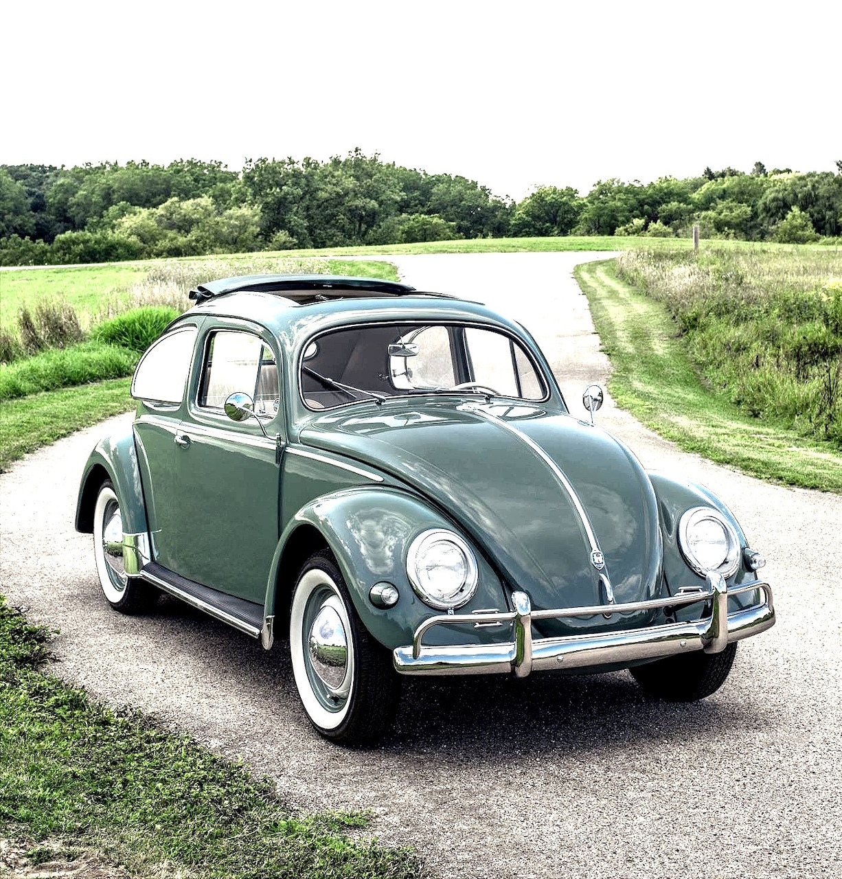 Green VW Beetle