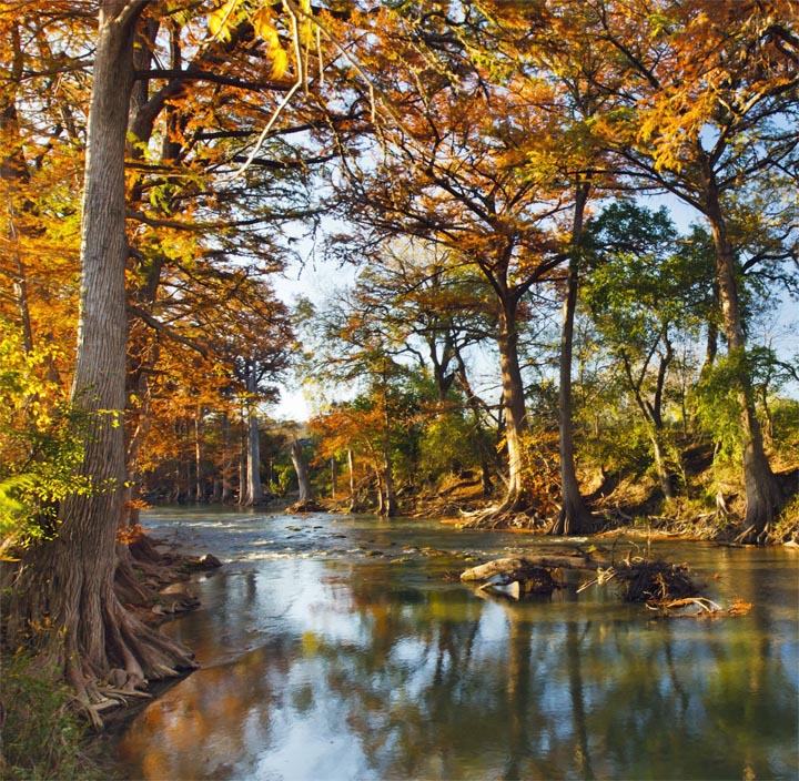 Calm river surrounded by trees with golden autumn leaves and sunlight reflections on water